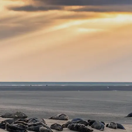 Le Nid D'opale - Proche - Centre-ville Berck